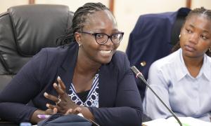 Orientation session on the IGRTC  mandate 