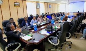 Orientation session on the IGRTC  mandate 