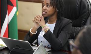 Orientation session on the IGRTC  mandate 