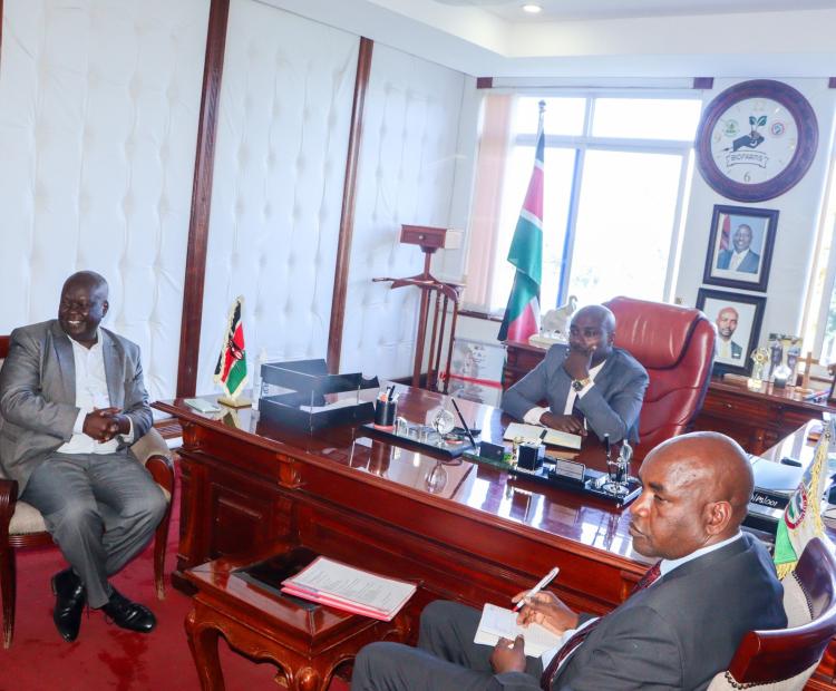 Consultative meeting with the Governor